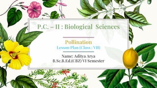 Pollination
Lesson Plan (Class : VII)
Name: Aditya Arya
B.Sc.B.Ed.(CBZ) VI Semester
P.C. – II : Biological Sciences
 