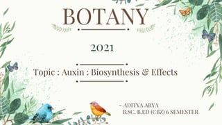 BOTANY
2021
Topic : Auxin : Biosynthesis & Effects
~ ADITYA ARYA
B.SC. B.ED (CBZ) 6 SEMESTER
 