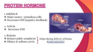 PHYSIOLOGY OF REPRODUCTION | PDF