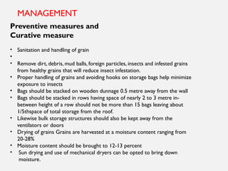 MANAGEMENT
Preventive measures and
Curative measure
• Sanitation and handling of grain
•
• Remove dirt, debris, mud balls, foreign particles, insects and infested grains
from healthy grains that will reduce insect infestation.
• Proper handling of grains and avoiding hooks on storage bags help minimize
exposure to insects
• Bags should be stacked on wooden dunnage 0.5 metre away from the wall
• Bags should be stacked in rows having space of nearly 2 to 3 metre in-
between height of a row should not be more than 15 bags leaving about
1/5thspace of total storage from the roof.
• Likewise bulk storage structures should also be kept away from the
ventilators or doors
• Drying of grains Grains are harvested at a moisture content ranging from
20-28%
• Moisture content should be brought to 12-13 percent
• Sun drying and use of mechanical dryers can be opted to bring down
moisture.
 