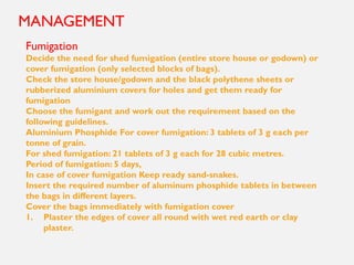 MANAGEMENT
Fumigation
Decide the need for shed fumigation (entire store house or godown) or
cover fumigation (only selected blocks of bags).
Check the store house/godown and the black polythene sheets or
rubberized aluminium covers for holes and get them ready for
fumigation
Choose the fumigant and work out the requirement based on the
following guidelines.
Aluminium Phosphide For cover fumigation: 3 tablets of 3 g each per
tonne of grain.
For shed fumigation: 21 tablets of 3 g each for 28 cubic metres.
Period of fumigation: 5 days,
In case of cover fumigation Keep ready sand-snakes.
Insert the required number of aluminum phosphide tablets in between
the bags in different layers.
Cover the bags immediately with fumigation cover
1. Plaster the edges of cover all round with wet red earth or clay
plaster.
 