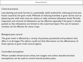 M A N AG E M E N T
Cultural practices
Late planting and early harvest is a potentially useful method for reducing pre-harvest
losses caused by the grain moth. Methods of reducing humidity in grain stores such as
plastering the walls with mud can reduce or help minimise infestation levels. Periodic
inspection and removal of infestations can be effective especially if the grain is closely
packed so that infestations are limited to the outermost layers.The use of resistant
varieties can be effective for some crops.
Biological pest control
The grain moth is affected by a variety of parasites, parasitoids and predators that
affect it at all stages.The editors could not find information on the effectiveness of
these species as grain moth control agents.
Controlled atmosphere
Where suitable infrastructure exists, low oxygen and carbon dioxide-enriched
atmospheres can be used to control stored product pests.
 