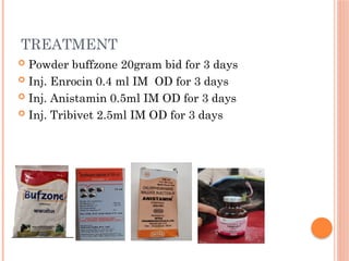 Alkaline indigestion in goats case study | PPTX