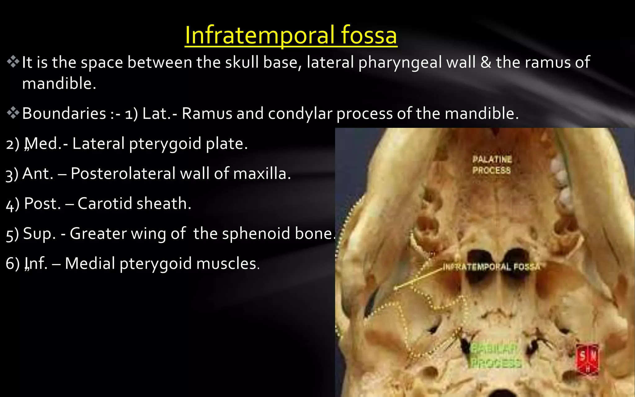 Skull base anatomy by Dr. Aditya Tiwari | PPTX