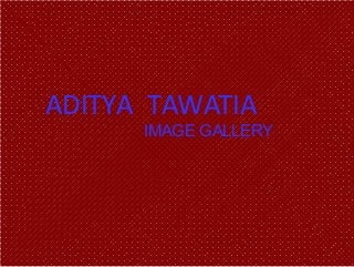 ADITYA TAWATIA
IMAGE GALLERY
 