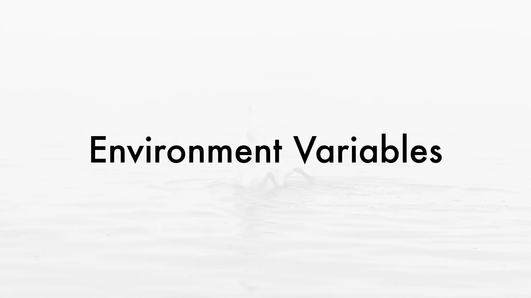 Environment Variables
 