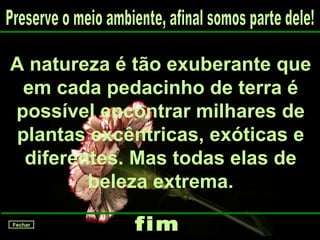 A natureza é tão exuberante que em cada pedacinho de terra é possível encontrar milhares de plantas excêntricas, exóticas e diferentes. Mas todas elas de beleza extrema. Preserve o meio ambiente, afinal somos parte dele! fim Fechar 