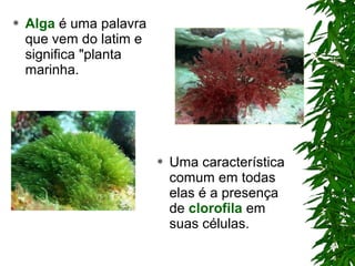  Alga é uma palavra
que vem do latim e
significa "planta
marinha.
 Uma característica
comum em todas
elas é a presença
de clorofila em
suas células.
 