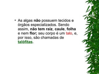  As algas não possuem tecidos e
órgãos especializados. Sendo
assim, não tem raiz, caule, folha
e nem flor; seu corpo é um talo, e,
por isso, são chamadas de
talófitas.
 