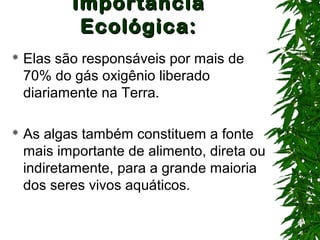 ImportânciaImportância
Ecológica:Ecológica:
 Elas são responsáveis por mais de
70% do gás oxigênio liberado
diariamente na Terra.
 As algas também constituem a fonte
mais importante de alimento, direta ou
indiretamente, para a grande maioria
dos seres vivos aquáticos.
 