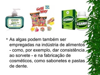  As algas podem também ser
empregadas na indústria de alimentos
- como, por exemplo, dar consistência
ao sorvete - e na fabricação de
cosméticos, como sabonetes e pastas
de dente.
 