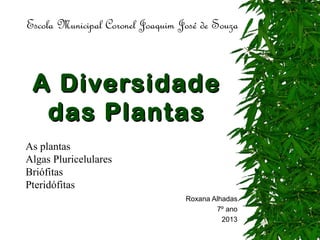A DiversidadeA Diversidade
das Plantasdas Plantas
Roxana Alhadas
7º ano
2013
Escola Municipal Coronel Joaquim José de Souza
As plantas
Algas Pluricelulares
Briófitas
Pteridófitas
 