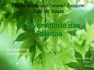 A Diversidade das
Plantas
Roxana Alhadas
7º ano
2013
Escola Municipal Coronel Joaquim
José de Souza
Gimnospermas
Angiospermas
 