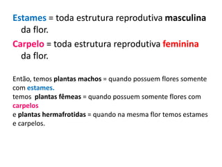 Estames = toda estrutura reprodutiva masculina
da flor.
Carpelo = toda estrutura reprodutiva feminina
da flor.
Então, temos plantas machos = quando possuem flores somente
com estames.
temos plantas fêmeas = quando possuem somente flores com
carpelos
e plantas hermafrotidas = quando na mesma flor temos estames
e carpelos.
 