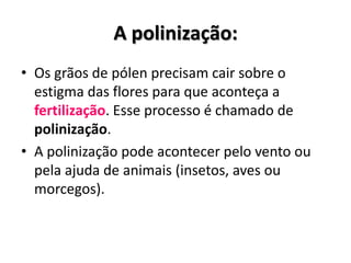 A polinização:
• Os grãos de pólen precisam cair sobre o
estigma das flores para que aconteça a
fertilização. Esse processo é chamado de
polinização.
• A polinização pode acontecer pelo vento ou
pela ajuda de animais (insetos, aves ou
morcegos).
 