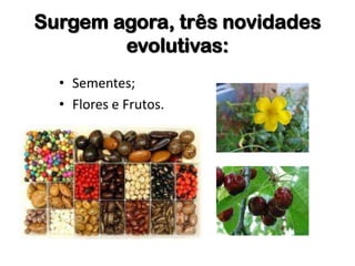 Surgem agora, três novidades
evolutivas:
• Sementes;
• Flores e Frutos.
 