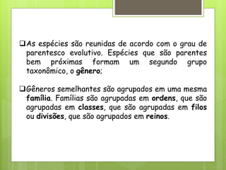 As espécies são reunidas de acordo com o grau de
parentesco evolutivo. Espécies que são parentes
bem próximas formam um segundo grupo
taxonômico, o gênero;
Gêneros semelhantes são agrupados em uma mesma
família. Famílias são agrupadas em ordens, que são
agrupadas em classes, que são agrupadas em filos
ou divisões, que são agrupados em reinos.
 