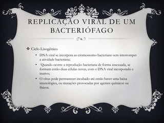 REPLICAÇÃO VIRAL DE UM
BACTERIÓFAGO
 Ciclo Lisogênico
• DNA viral se incorpora ao cromossomo bacteriano sem interromper
a atividade bacteriana;
• ´Quando ocorre a reprodução bacteriana de forma assexuada, se
formam então duas células novas, com o DNA viral incorporado e
inativo;
• O vírus pode permanecer incubado até então haver uma baixa
imunológica, ou mutações provocadas por agentes químicos ou
físicos.
 