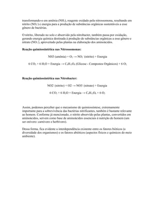 transformando-o em amônia (NH3), reagente oxidado pela nitrossomona, resultando em
nitrito (NO2
-
) e energia para a produção de substâncias orgânicas sustentáveis a esse
gênero de bactérias.
O nitrito, liberado no solo e absorvido pela nitrobacter, também passa por oxidação,
gerando energia química destinada à produção de substâncias orgânicas a esse gênero e
nitrato (NO3
-
), aproveitado pelas plantas na elaboração dos aminoácidos.
Reação quimiossintética nas Nitrossomonas:
NH3 (amônia) + O2 → NO2
-
(nitrito) + Energia
6 CO2 + 6 H2O + Energia → C6H12O6 (Glicose - Compostos Orgânicos) + 6 O2
Reação quimiossintética nas Nitrobacter:
NO2-
(nitrito) + O2 → NO3-
(nitrato) + Energia
6 CO2 + 6 H2O + Energia → C6H12O6 + 6 O2
Assim, podemos perceber que o mecanismo de quimiossíntese, extremamente
importante para a sobrevivência das bactérias nitrificantes, também é bastante relevante
ao homem. Conforme já mencionado, o nitrito absorvido pelas plantas, convertidos em
aminoácidos, servem como base de aminoácidos essenciais à nutrição do homem (um
ser onívoro: carnívoro e herbívoro).
Dessa forma, fica evidente a interdependência existente entre os fatores bióticos (a
diversidade dos organismos) e os fatores abióticos (aspectos físicos e químicos do meio
ambiente).
 