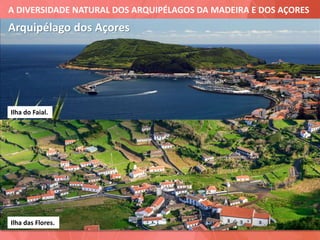 A DIVERSIDADE NATURAL DOS ARQUIPÉLAGOS DA MADEIRA E DOS AÇORES
Arquipélago dos Açores
Ilha do Faial.
Ilha das Flores.
 