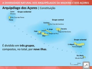 A DIVERSIDADE NATURAL DOS ARQUIPÉLAGOS DA MADEIRA E DOS AÇORES
Arquipélago dos Açores | Constituição
É dividido em três grupos,
compostos, no total, por nove ilhas.
Grupo ocidental
Grupo central
Grupo oriental
 