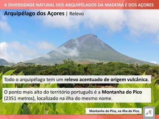 A DIVERSIDADE NATURAL DOS ARQUIPÉLAGOS DA MADEIRA E DOS AÇORES
Arquipélago dos Açores | Relevo
Montanha do Pico, na ilha do Pico.
Todo o arquipélago tem um relevo acentuado de origem vulcânica.
O ponto mais alto do território português é a Montanha do Pico
(2351 metros), localizado na ilha do mesmo nome.
 