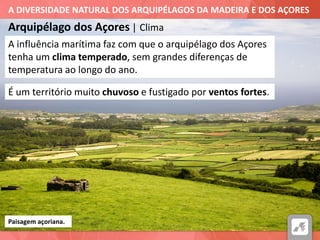 A DIVERSIDADE NATURAL DOS ARQUIPÉLAGOS DA MADEIRA E DOS AÇORES
Arquipélago dos Açores | Clima
Paisagem açoriana.
A influência marítima faz com que o arquipélago dos Açores
tenha um clima temperado, sem grandes diferenças de
temperatura ao longo do ano.
É um território muito chuvoso e fustigado por ventos fortes.
 