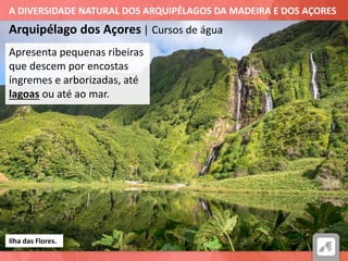 A DIVERSIDADE NATURAL DOS ARQUIPÉLAGOS DA MADEIRA E DOS AÇORES
Arquipélago dos Açores | Cursos de água
Ilha das Flores.
Apresenta pequenas ribeiras
que descem por encostas
íngremes e arborizadas, até
lagoas ou até ao mar.
 