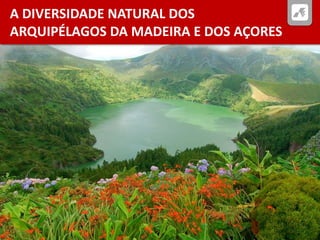 A DIVERSIDADE NATURAL DOS
ARQUIPÉLAGOS DA MADEIRA E DOS AÇORES
 