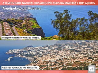 A DIVERSIDADE NATURAL DOS ARQUIPÉLAGOS DA MADEIRA E DOS AÇORES
Arquipélago da Madeira
Paisagem da costa sul da ilha da Madeira.
Cidade do Funchal, na ilha da Madeira.
 