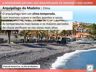 A DIVERSIDADE NATURAL DOS ARQUIPÉLAGOS DA MADEIRA E DOS AÇORES
Arquipélago da Madeira | Clima
Praia de Santa Cruz, na ilha da Madeira.
O arquipélago tem um clima temperado,
com invernos suaves e verões quentes e secos.
As temperaturas mais baixas e os maiores períodos
de chuva verificam-se nas zonas mais altas.
 