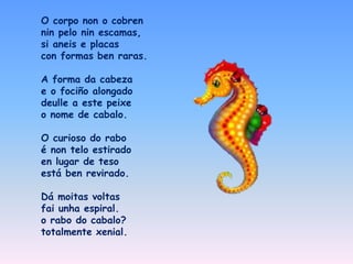 O corpo non o cobren
nin pelo nin escamas,
si aneis e placas
con formas ben raras.
A forma da cabeza
e o fociño alongado
deulle a este peixe
o nome de cabalo.
O curioso do rabo
é non telo estirado
en lugar de teso
está ben revirado.
Dá moitas voltas
fai unha espiral.
o rabo do cabalo?
totalmente xenial.
 