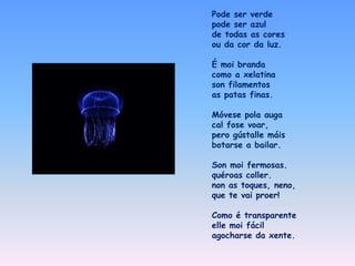 Pode ser verde
pode ser azul
de todas as cores
ou da cor da luz.
É moi branda
como a xelatina
son filamentos
as patas finas.
Móvese pola auga
cal fose voar,
pero gústalle máis
botarse a bailar.
Son moi fermosas.
quéroas coller.
non as toques, neno,
que te vai proer!
Como é transparente
elle moi fácil
agocharse da xente.
 