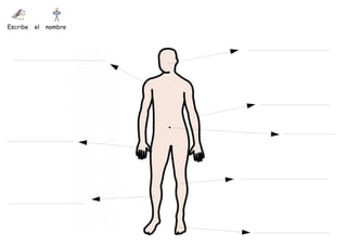 Escribe   el   nombre
 