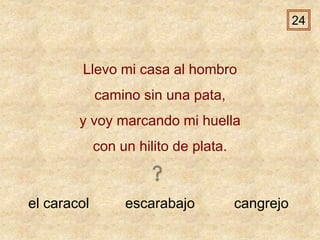 el caracol escarabajo cangrejo
Llevo mi casa al hombro
camino sin una pata,
y voy marcando mi huella
con un hilito de plata.
24
 