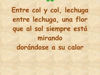 10 Entre col y col, lechuga entre lechuga, una flor que al sol siempre está mirando dorándose a su calor 