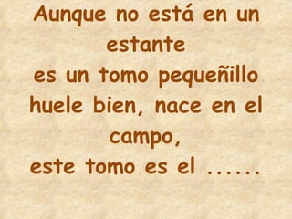 12 Aunque no está en un estante es un tomo pequeñillo huele bien, nace en el campo, este tomo es el ...... 