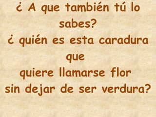 15 ¿ A que también tú lo sabes? ¿ quién es esta caradura que  quiere llamarse flor  sin dejar de ser verdura? 