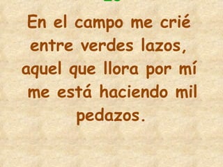 20 En el campo me crié  entre verdes lazos,  aquel que llora por mí  me está haciendo mil pedazos. 