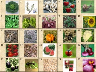 1 2 3 4 5 6 7 8 9 10 11 12 13 14 15 16 17 18 19 20 21 22 23 24 25 