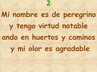 2 Mi nombre es de peregrino  y tengo virtud notable ando en huertos y caminos y mi olor es agradable 