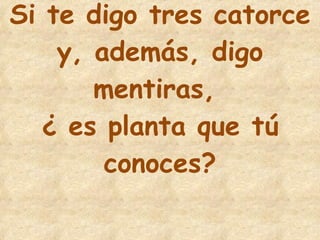 4 Si te digo tres catorce y, además, digo mentiras,  ¿ es planta que tú conoces? 