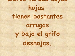 7 Libros verdes cuyas hojas  tienen bastantes arrugas y bajo el grifo deshojas . 