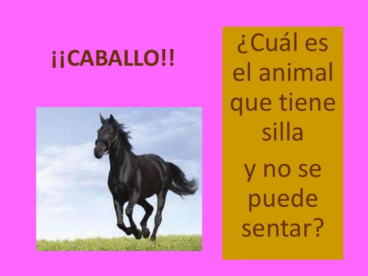 Adivina adivinanza