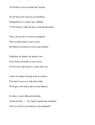 54 Ambas as faces morde-lhe furente. 
Os de baixo nas coxas já se estendem, 
Interpondo-se a cauda, que, subindo 
57 Por detrás, voltas dá que os rins lhe prendem. 
Hera, de árvores os ramos recingindo. 
Não os enleia tanto, como a fera 
60 Alheios membros ao seu corpo unindo. 
Fundiram-se depois, de quente cera 
Com feitos; travando as suas cores, 
63 Um nem outro parece o que antes era: 
Como em papel, do fogo ante os ardores 
Procede escura cor; inda não sendo 
66 Negro, vão fenecendo os seus albores. 
Os dois, a maravilha percebendo, 
Gritavam-lhe: — “Ai! Agnel, quanto hás mudado! 
69 Um já não és mas dois ser não podendo!” 
 