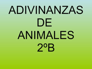 ADIVINANZAS DE  ANIMALES 2ºB 
