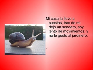 Mi casa la llevo a
cuestas, tras de mi
dejo un sendero, soy
lento de movimientos, y
no le gusto al jardinero.
.
 