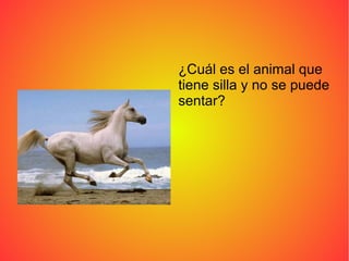 ¿Cuál es el animal que
tiene silla y no se puede
sentar?
 