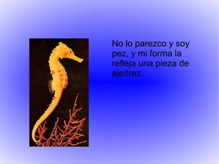 No lo parezco y soy
pez, y mi forma la
refleja una pieza de
ajedrez.
 