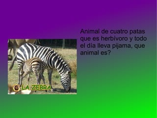 Animal de cuatro patas
que es herbívoro y todo
el día lleva pijama, que
animal es?
 